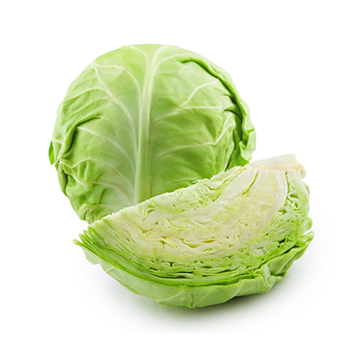Green Cabbage